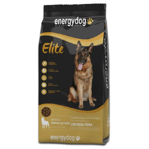 energydog_elite_kopia_18.png