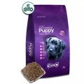 canun_puppy_img.jpg