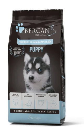 IbercanPuppy.jpg