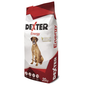 Dexter_Energy.jpg