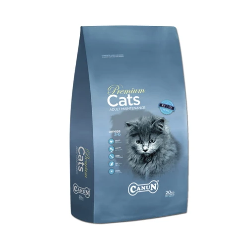 canun_cats_daily.jpg