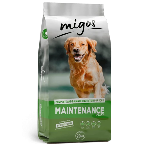 MIGOS_MAINT_PLUS_1.png
