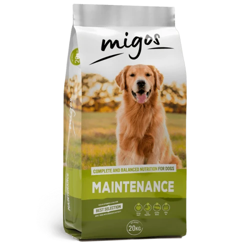 MIGOS_MAINT_1.png