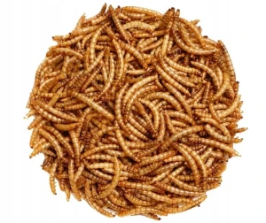 Suszone larwy mącznika młynarka 250g